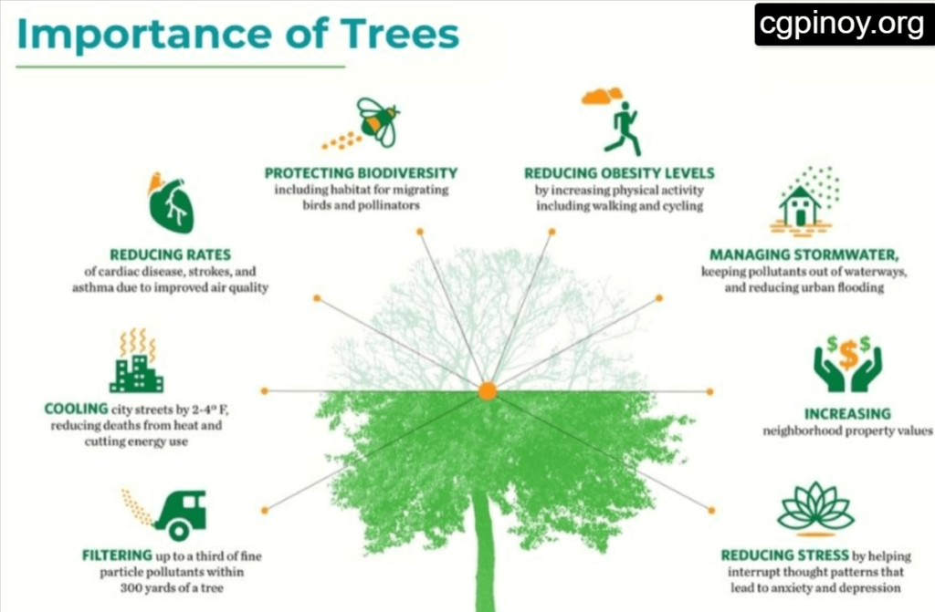 The Importance of Tree Spraying: Protecting Your Trees from Pests and ...
